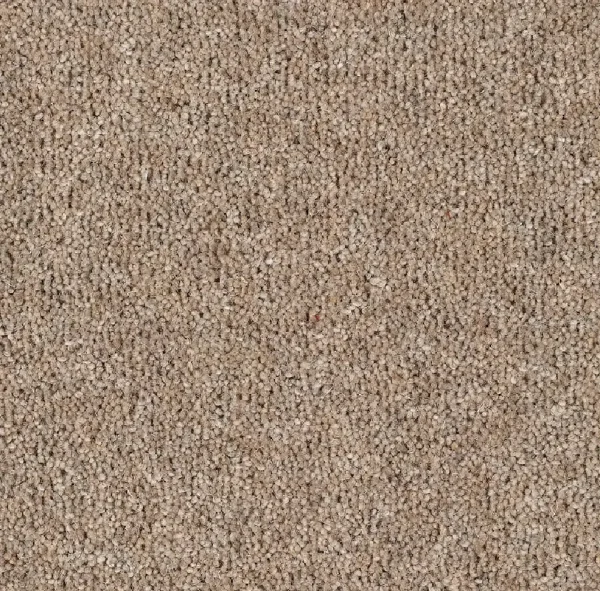 OLIVER - Image 7