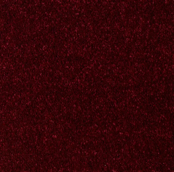 JULIA - Image 7