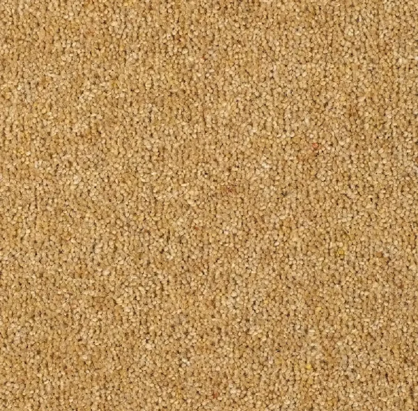 OLIVER - Image 5