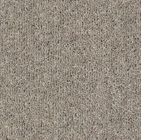 OLIVER - Image 3