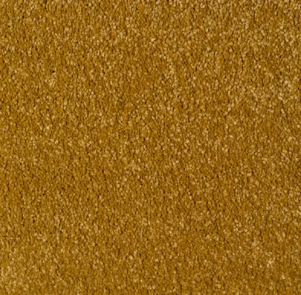 JULIA - Image 12