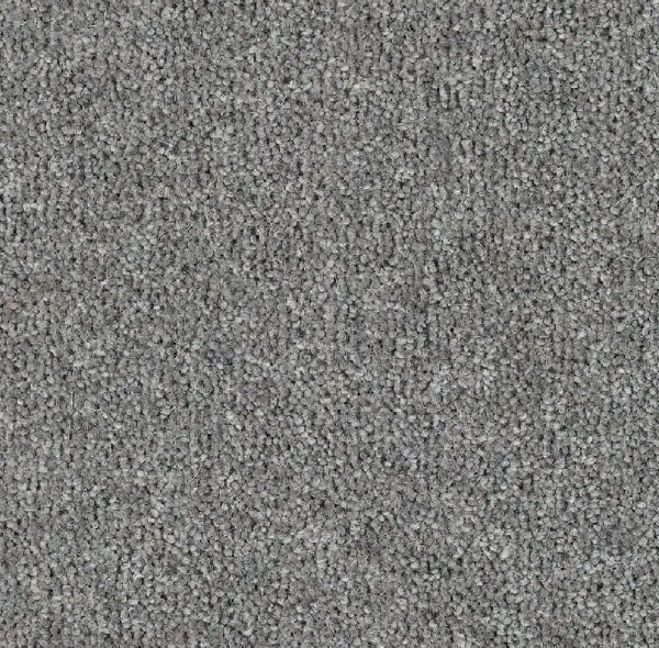 OLIVER - Image 2